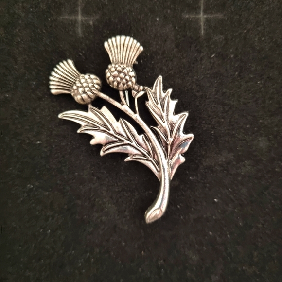 Bonnie wee designs Jewelry - Silver Scottish thistle brooch